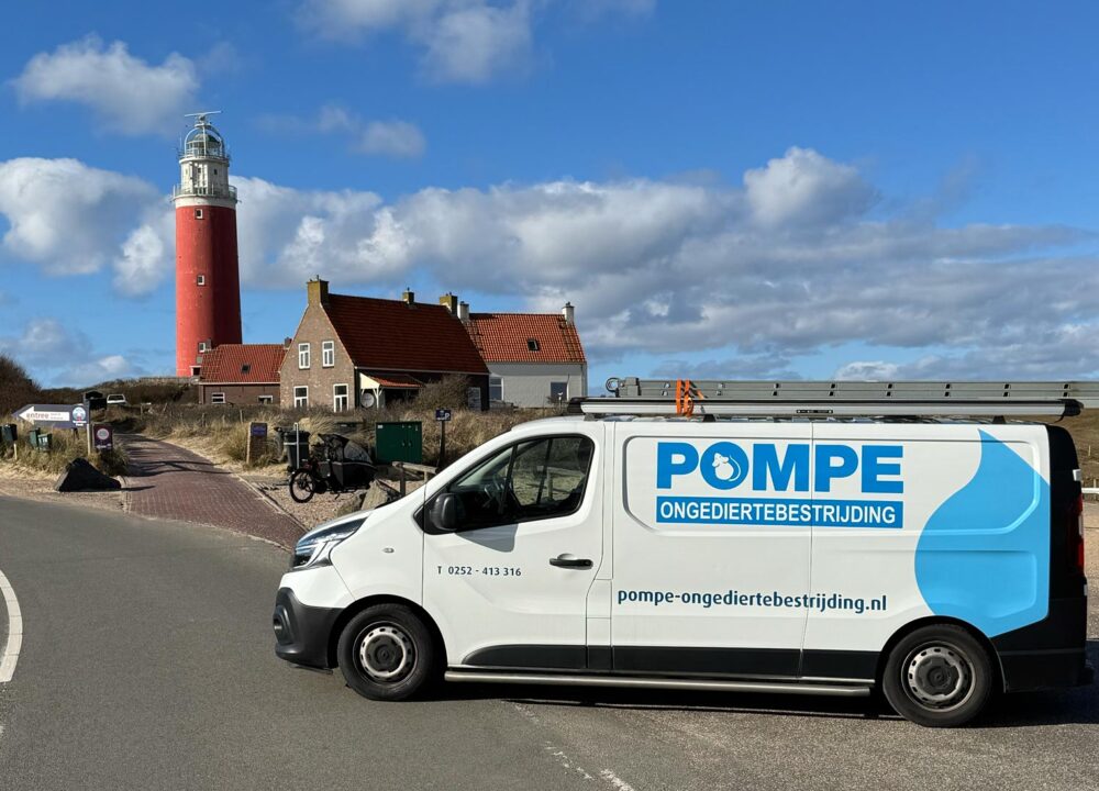 Specialistische reiniging